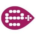 Eclectica Ricerca Formazione Organizzazionipositive Logo